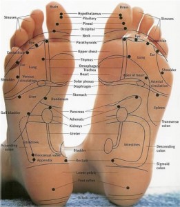 Reflexology-Foot-Chart-102